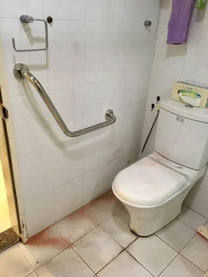 不鏽鋼V型扶手